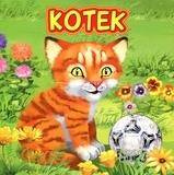 Kotek
