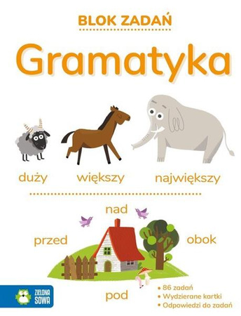 GRAMATYKA 9+. BLOK ZADAŃ