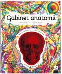 Gabinet anatomii