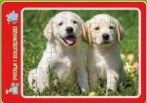 Puzzle w ramce z kolorowanką. Szczeniaczki