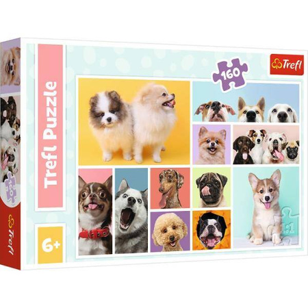 Puzzle 160 Psia przyjaźń