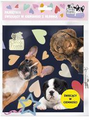 Pamiętnik świecący z kłódką Cleo i Frank40