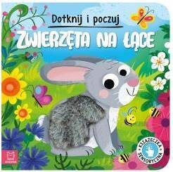 Dotknij i poczuj. Zwierzęta na łące