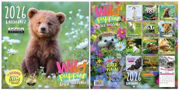 Kalendarz Classic Q WILD PUPPIES / Dzikie słodziaki  2026