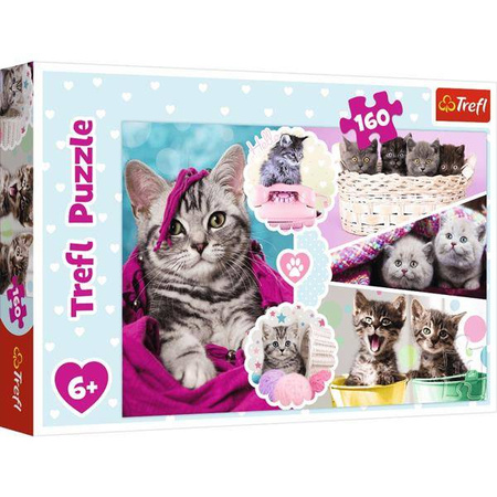 Puzzle 160 elem. Urocze kotki