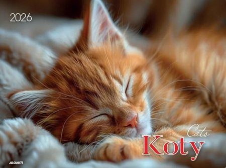Kalendarz albumowy 2026 Koty KA-1