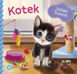 Kotek całokartonowa