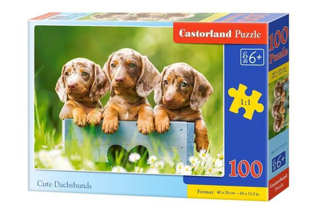 Puzzle 100 Cute Dachshunds / Słodkie jamniki