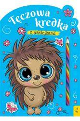 Tęczowa kredka. Jeż
