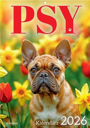 Kalendarz ścienny 2026 A4 Psy
