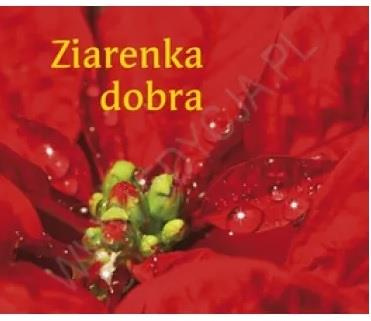 Ziarenka dobra. Perełka 173