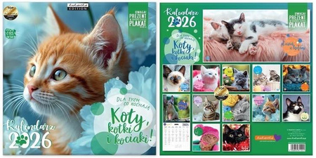 Kalendarz Classic Q Koty, kotki i kociaki 2026