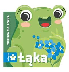 Łąka. Okienka maluszka