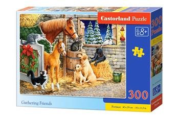 Puzzle 300 el Gathering Friends