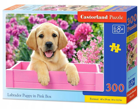 Puzzle 300 elementów Labrador Puppy in Pink Box *