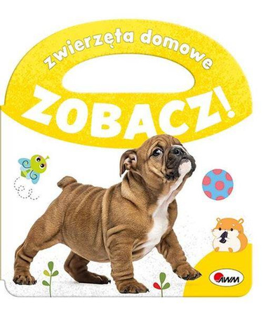 Zobacz. Zwierzęta domowe