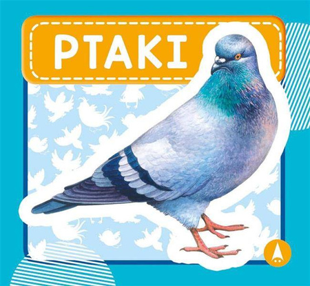 Ptaki. Książeczka harmonijka