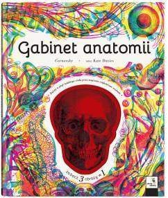 Gabinet anatomii