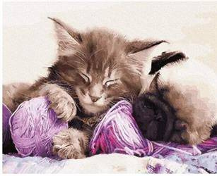 Malowanie po numerach - Babcine zwierzaki 40x50cm