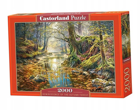 Puzzle 2000 Wspomnienie z jesiennego lasu