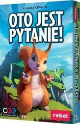 Oto jest pytanie!. Gra