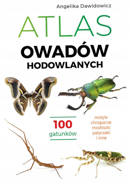 Atlas owadów hodowlanych. 100 gatunków
