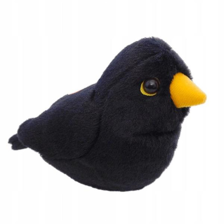 Ptaszek z dźwiękiem Kos