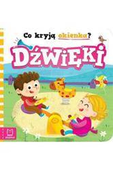 Co kryją okienka? Dźwięki