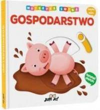 Motoryka Smyka. Gospodarstwo