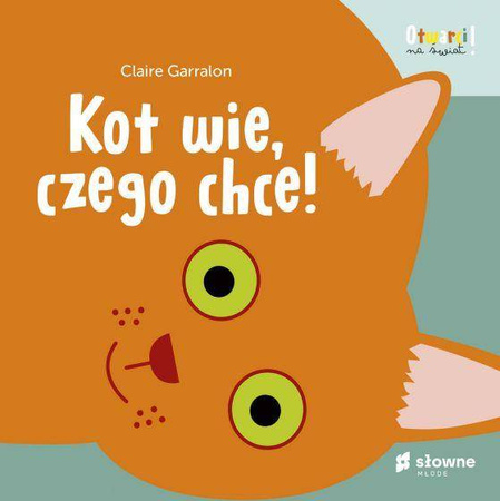 Kot wie, czego chce! Otwarci na świat