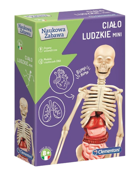 Ciało ludzkie mini. Naukowa zabawa  CLEMENTONI