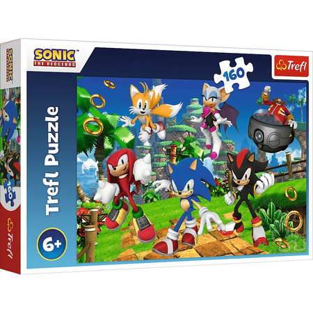 Puzzle 160 Sonic i przyjaciele