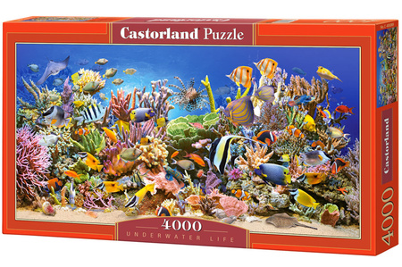 Puzzle 4000 Underwater Life/ Podwodne życie