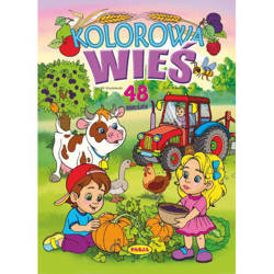 Kolorowa wieś