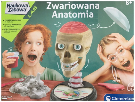 Zwariowana Anatomia CLEMENTONI