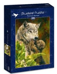 Puzzle 1000 elementów Cenna chwila 70086