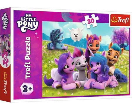 Puzzle 30 Przyjacielskie koniki Pony