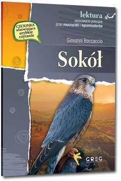 Sokół - lektura z opracowaniem