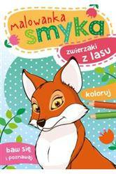 Malowanka smyka. Zwierzaki z lasu