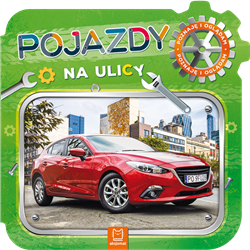 Pojazdy na ulicy. Poznaję i oglądam