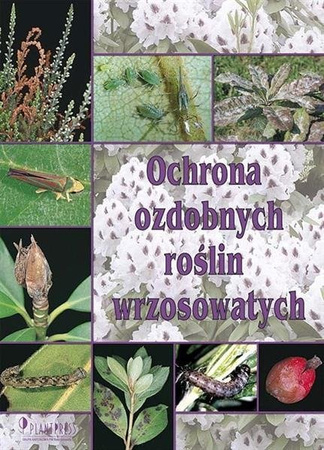 Ochrona roślin wrzosowatych