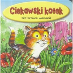 Ciekawski kotek. Sztywniaczek