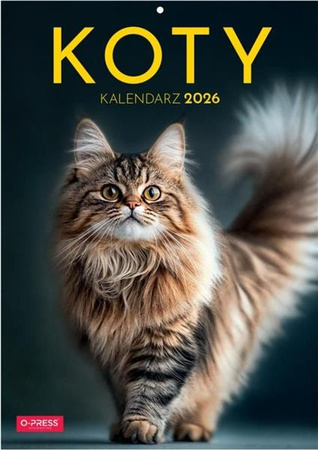 Kalendarz ścienny 2026 A4 Koty