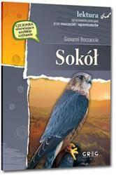 Sokół - lektura z opracowaniem