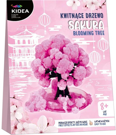Kwitnące drzewo sakura KIDEA