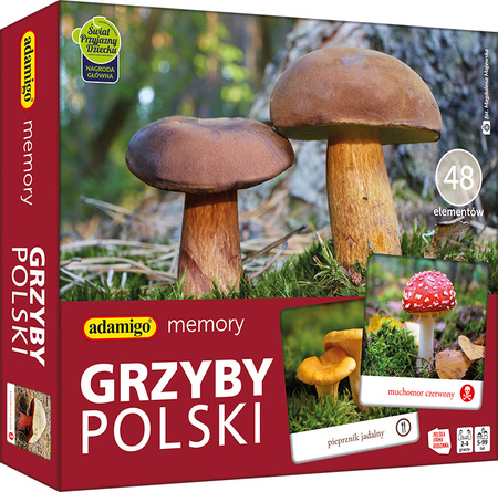 Gra memory Grzyby Polski