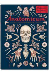 Anatomicum wydanie II