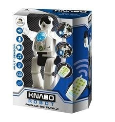 Robot Kanbo