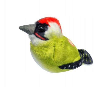 Ptaszek z dźwiękiem Dzięcioł Zielony