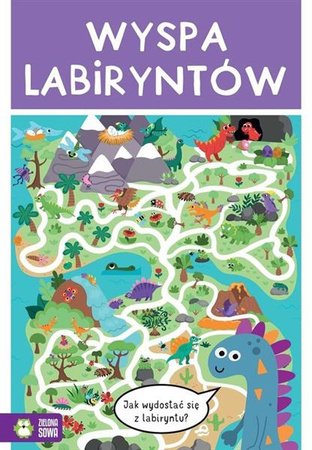 Wyspa labiryntów- łamigłówki i zabawy